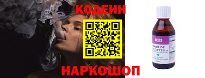 крисы Славгород