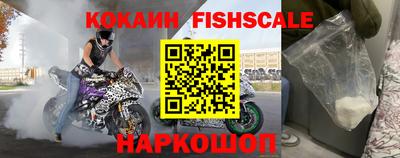 крисы Славгород