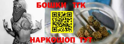 крисы Славгород