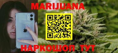 крисы Славгород