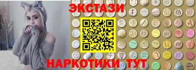 крисы Славгород
