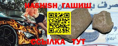 крисы Славгород