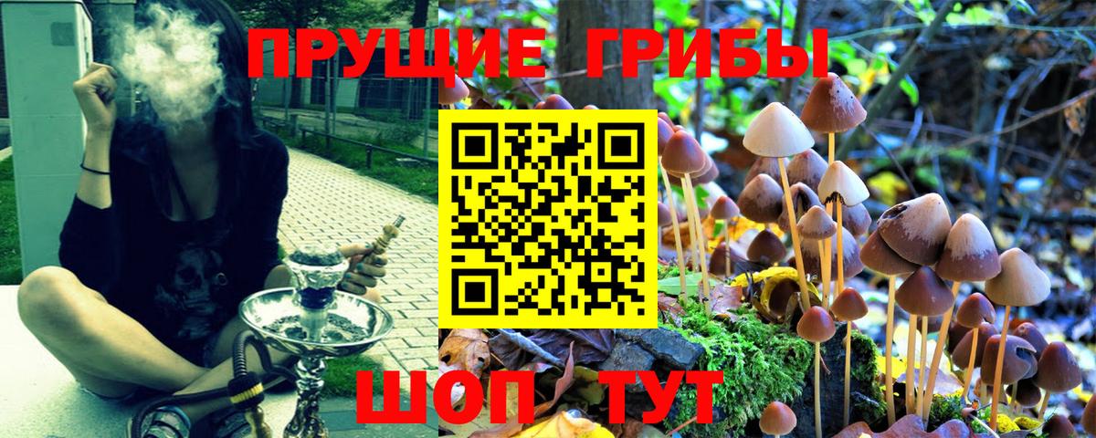 Псилоцибиновые грибы Psilocybine cubensis  Вход с VPN  купить  сайты  Подольск  Псилоцибиновые грибы Psilocybine cubensis 